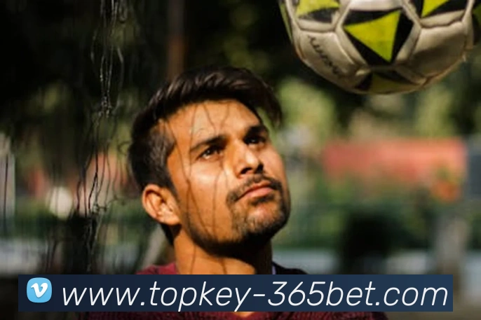 365bet平台生态图